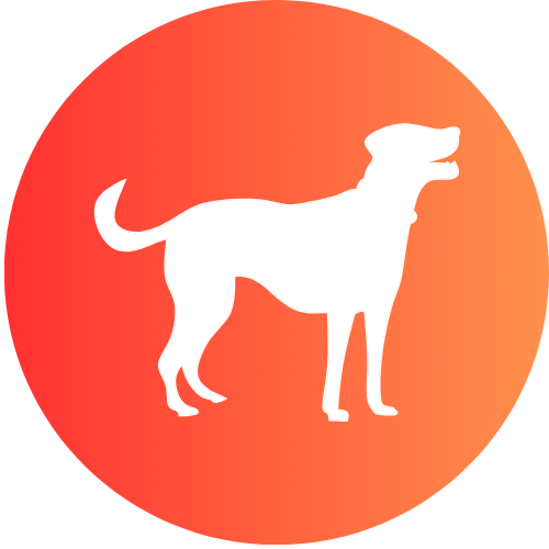 Dog | Twenty's PetSupplies